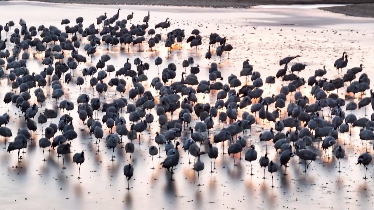 China has most complete wetland types in world