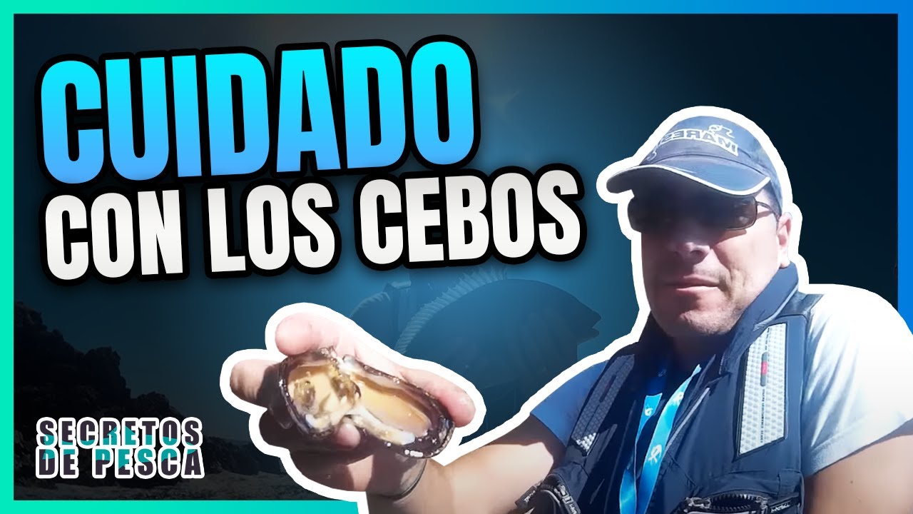 ✅MEJILLÓN de CEBO para la PESCA del SARGO🎣 CUIDADO⚠️
