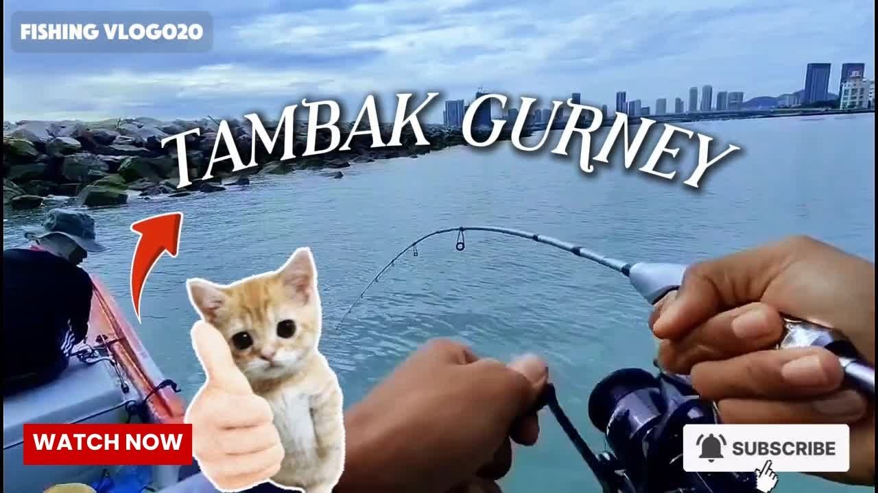 🎣PESTA KERAPU DI TAMBAK GURNEY !!! TAK SANGKA !! 😱 📸 