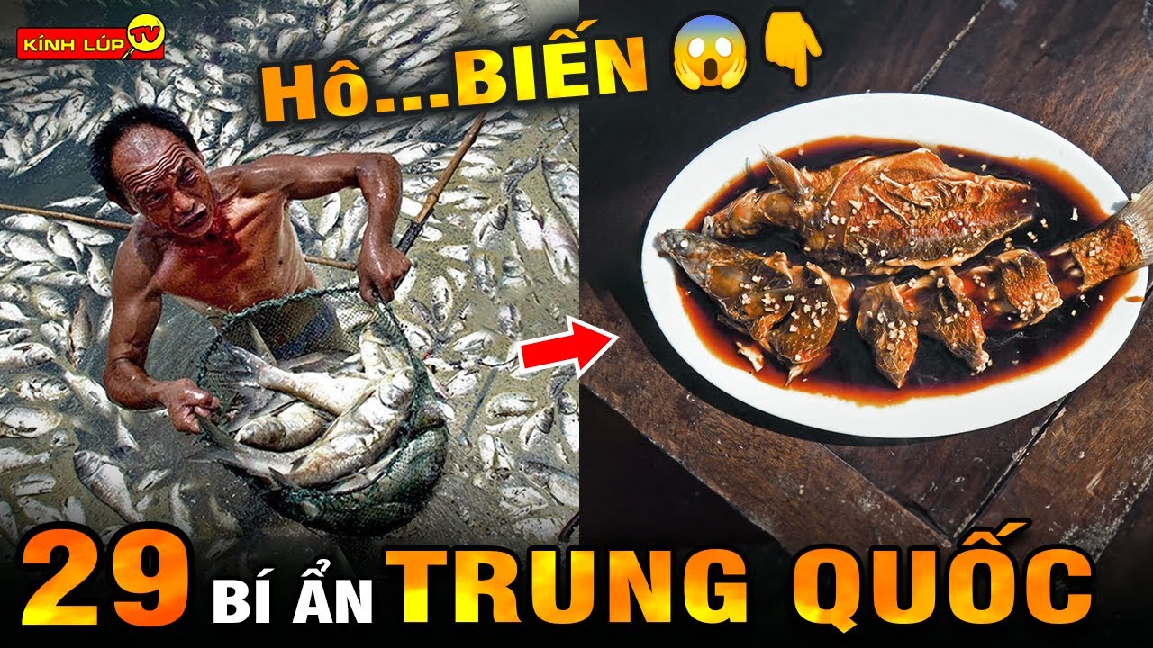 🔥 29 Bí Ẩn Siêu Độc Lạ Chỉ Có Ở Trung Quốc Khiến Bạn Cả Thế Giới Choáng Ngợp | Kính Lúp TV