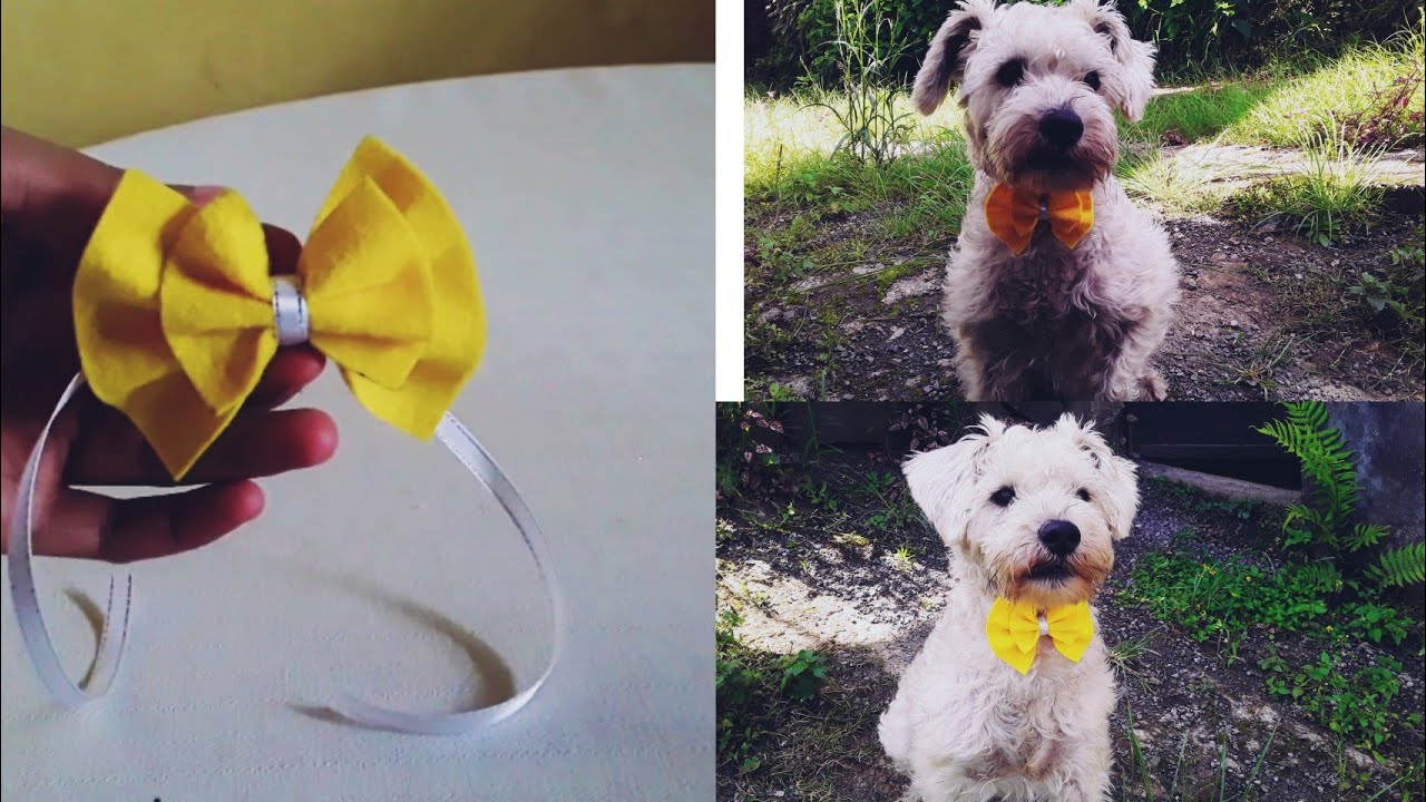 CORBATIN PARA PERRITOS.