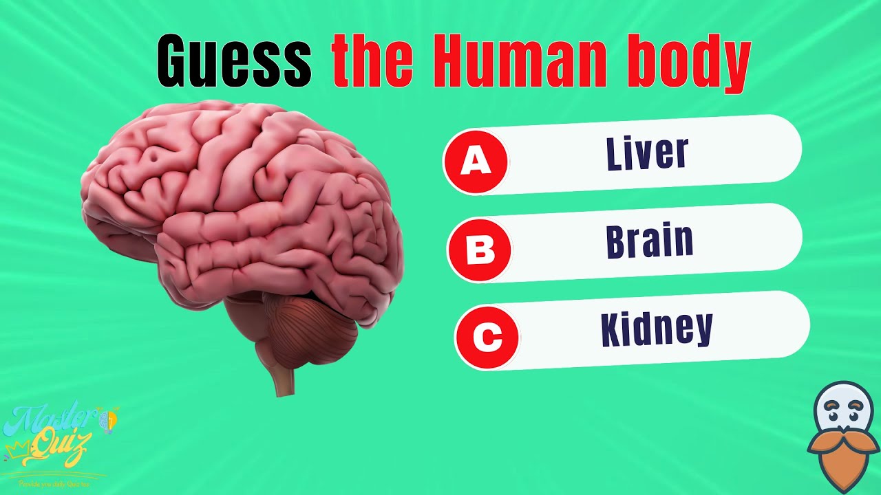 How Many Human Body do You know ? 🧠🦴🦵 | General Knowledge test