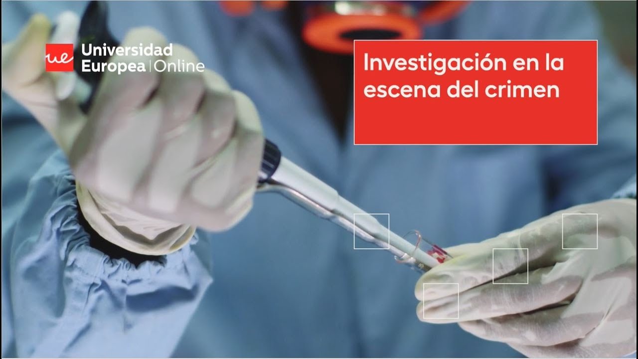 Grado en Criminolog&iacute;a &ndash; Online