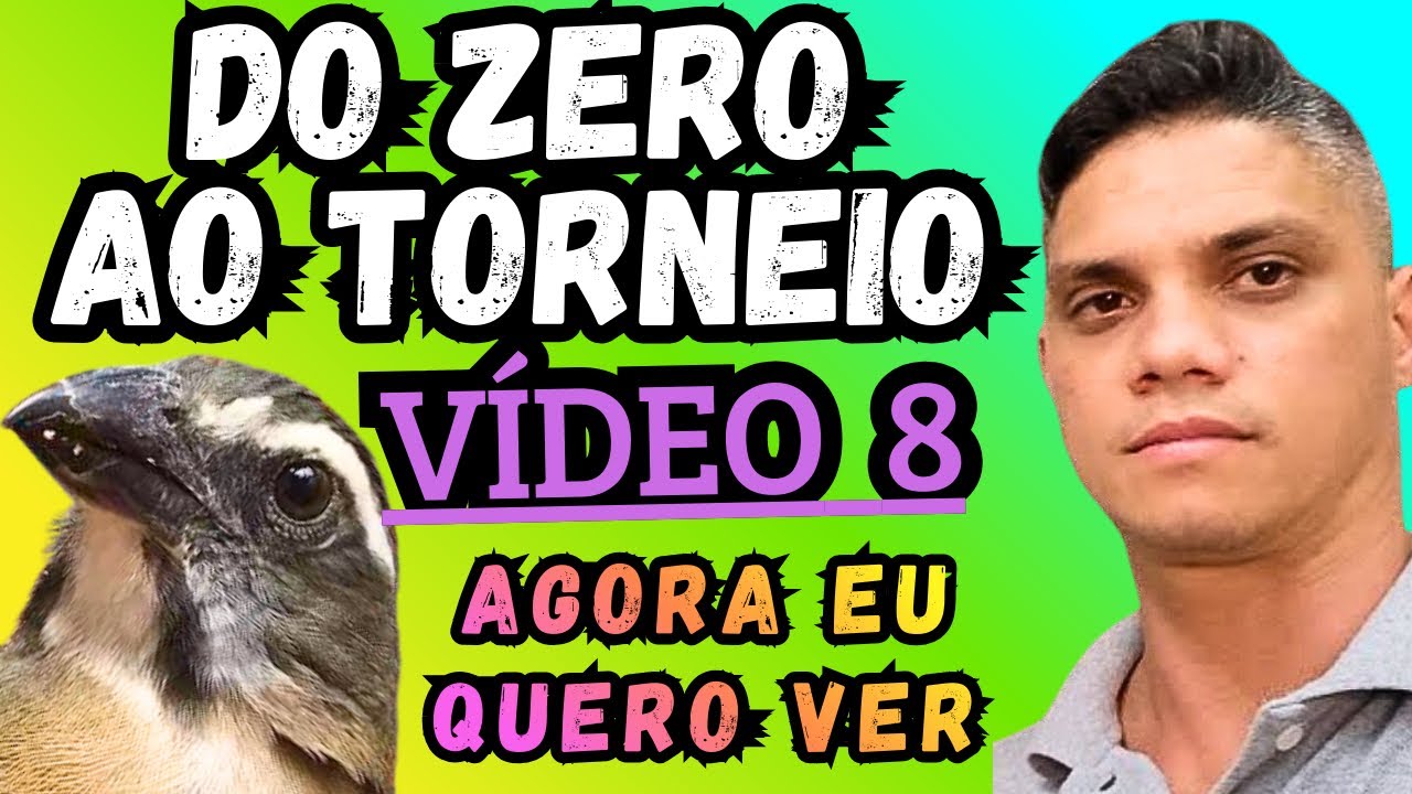 🏆MEXIDA DE TRINCA FERRO(DO ZERO AO TORNEIO VÍDEO 8)