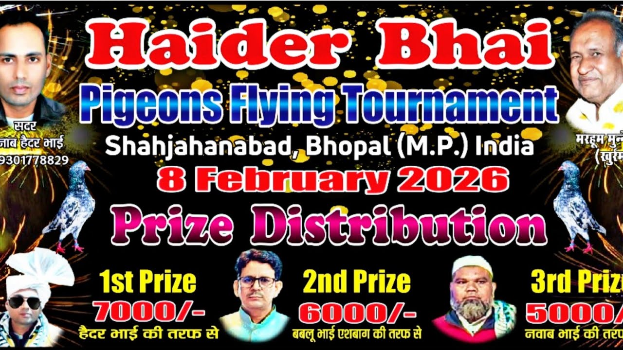 Bhopal Pigeons is live