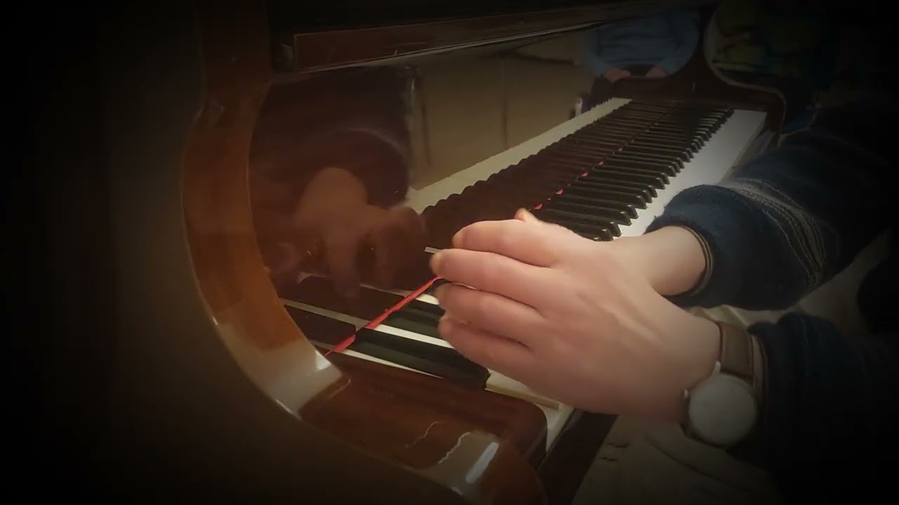 Wandelmusik    ...von Martin Seith-Böhm