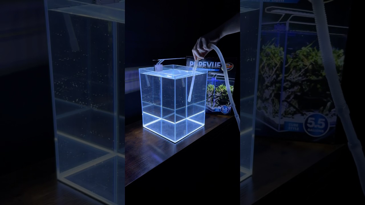 Leak testing my new aquarium (Purevue 5.5 Gallon Cube)