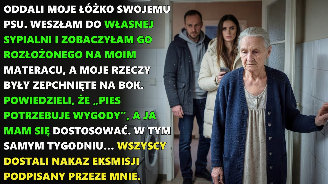 Oddali moje łóżko psu i kazali spać w pralni… nie wiedzieli, że dom wciąż jest mój