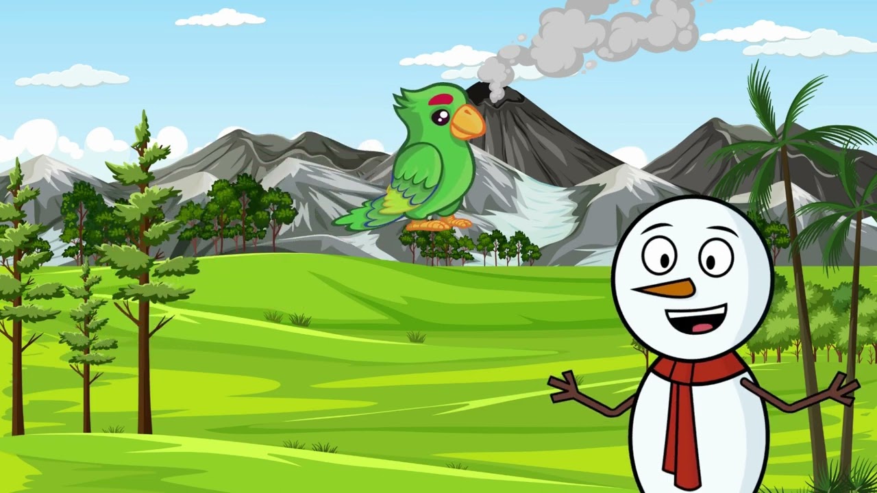 Feathered Friends: Exploring Birds from Around the World | Bird Watching for Kids@ChildrensPlayBook