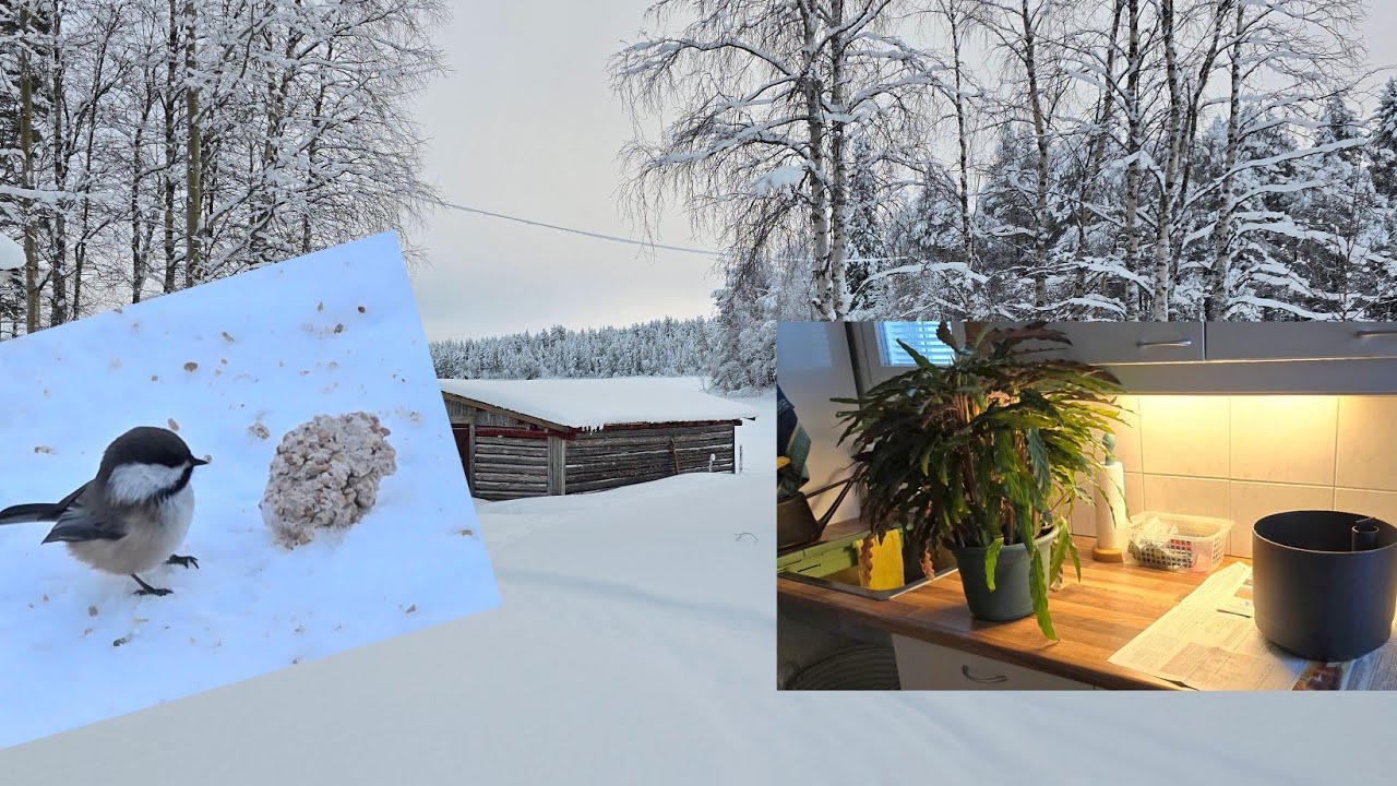 Lämmitystä, lenkkeilyä, muuttopuuhia