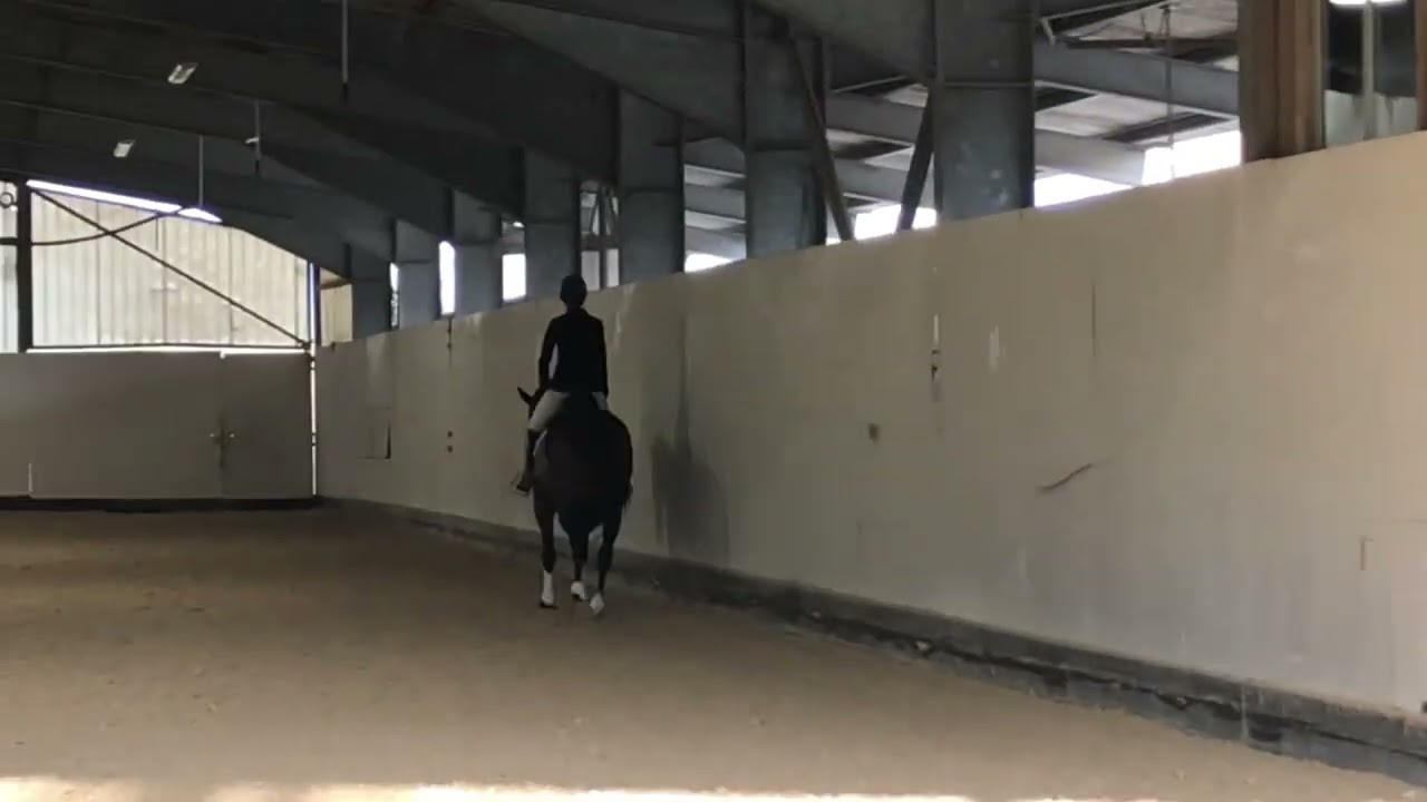 Campo prova Dressage, finale nazionale progetto sport G.E.S.E 2021