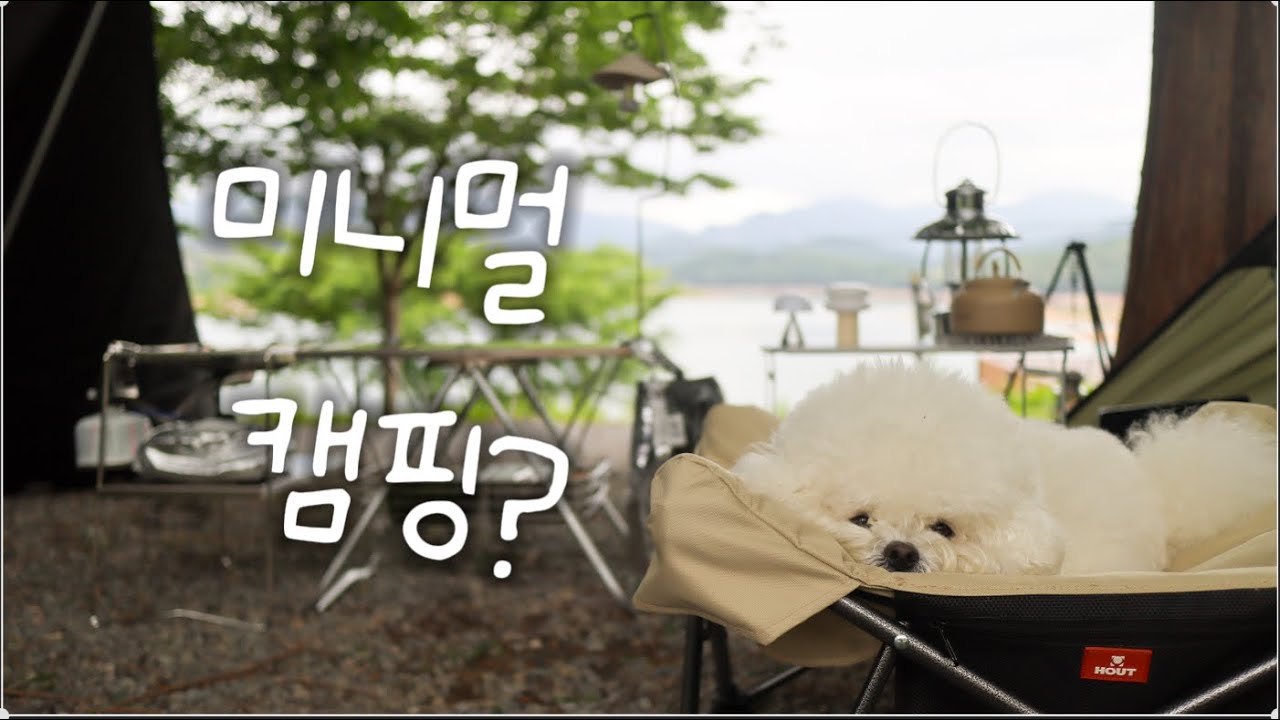 낭만 가득한 호수가에 작은 텐트로 강아지와 함께 미니멀 캠핑 즐기기