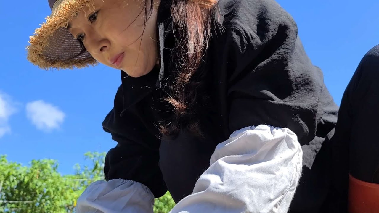산골딸들 이만하면 올겨울 굶어죽지 않겠죠 / 가족소개/
