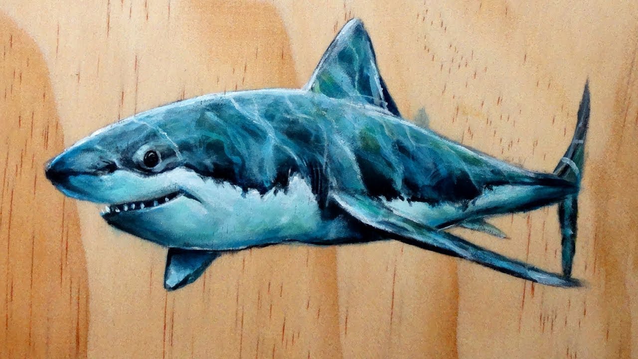 Realistic Shark Painting