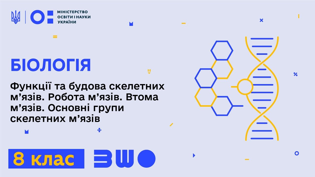8 клас. Біологія. Функції та будова скелетних м’язів. Робота м’язів. Втома м’язів
