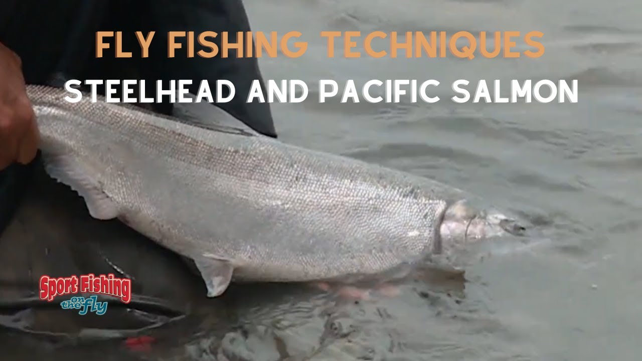 FLY FISHING: STEELHEAD and PACIFIC SALMON TECHNIQUES