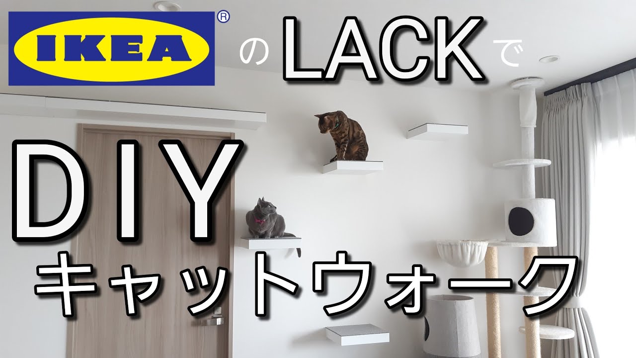 #14【猫とインテリア】IKEAのLACKでキャットウォークとステップをDIY