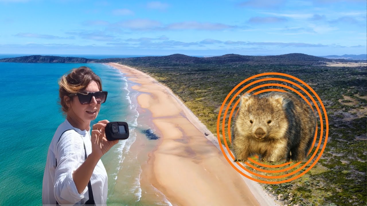 Exploring Tasmania: Empty Beaches, Stunning Hikes, National Parks