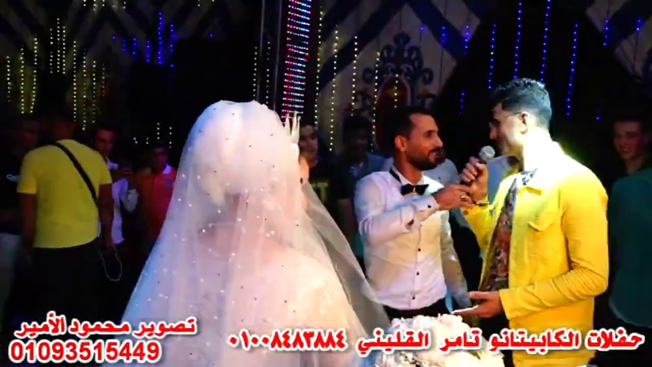 تامر القليني يتحدى العريس عشان يغنى للعروسه والفرح كله اتكسر مهرجان رامي بربر حفلات الكابيتانو