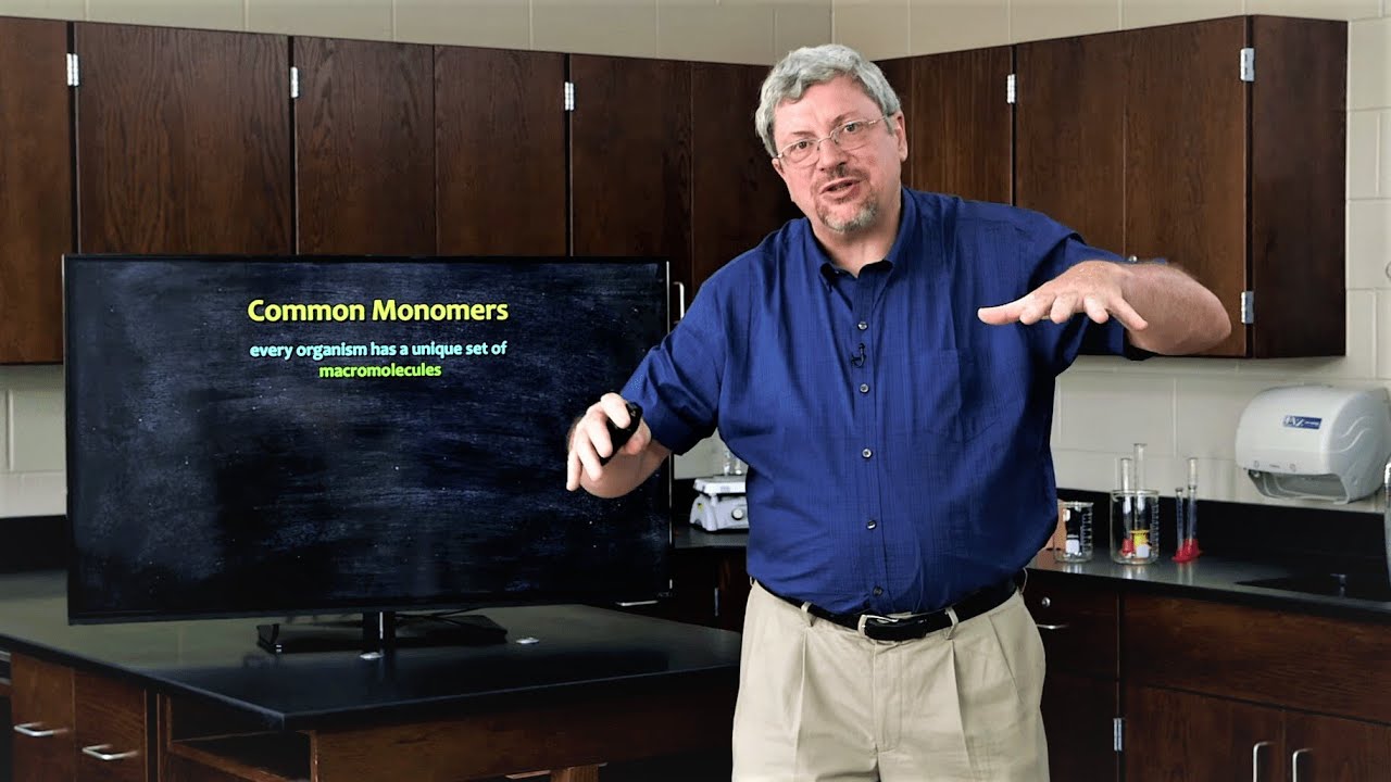 How Does Life's Common Blueprint Show us God's Oneness? - Dr. Kurt Wise, Devotional Biology