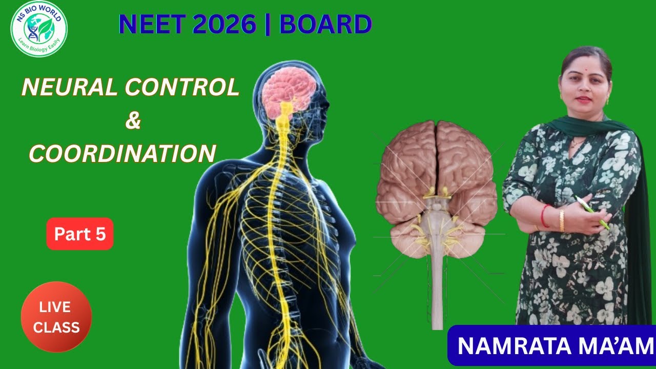 Neural Control & Coordination Part 5 | Cranial Nerves & Spinal Nerves | Class 11 Biology | NEET