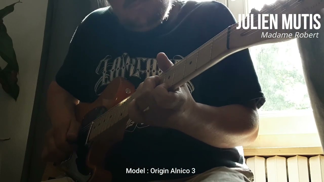 Monkey Pickups - TL Origin Alnico 3 - handwound in France