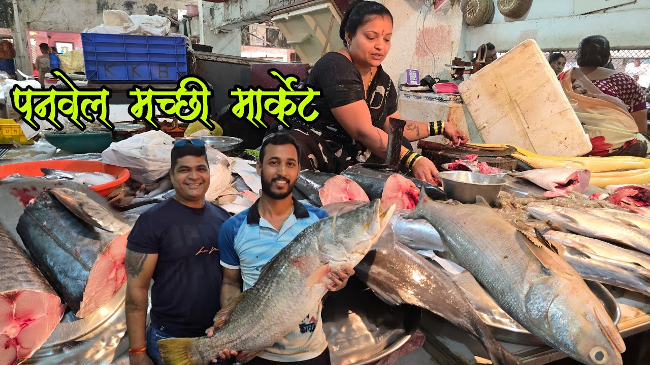 Panvel ( Uran Naka) Fish market | पनवेल मच्छी मार्केट चे भाव बघितले का | मार्केट मध्ये आले मोठे मासे