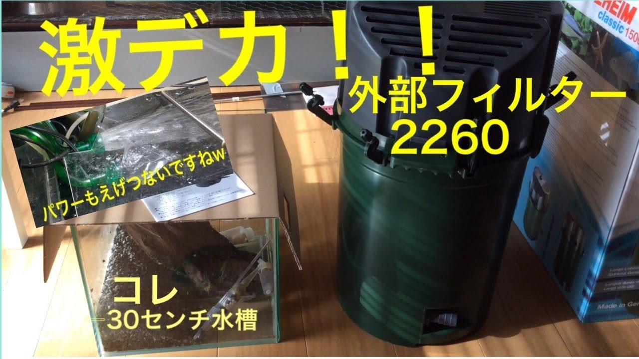 激デカ！！外部フィルター買いました！パワーすごすぎですね。