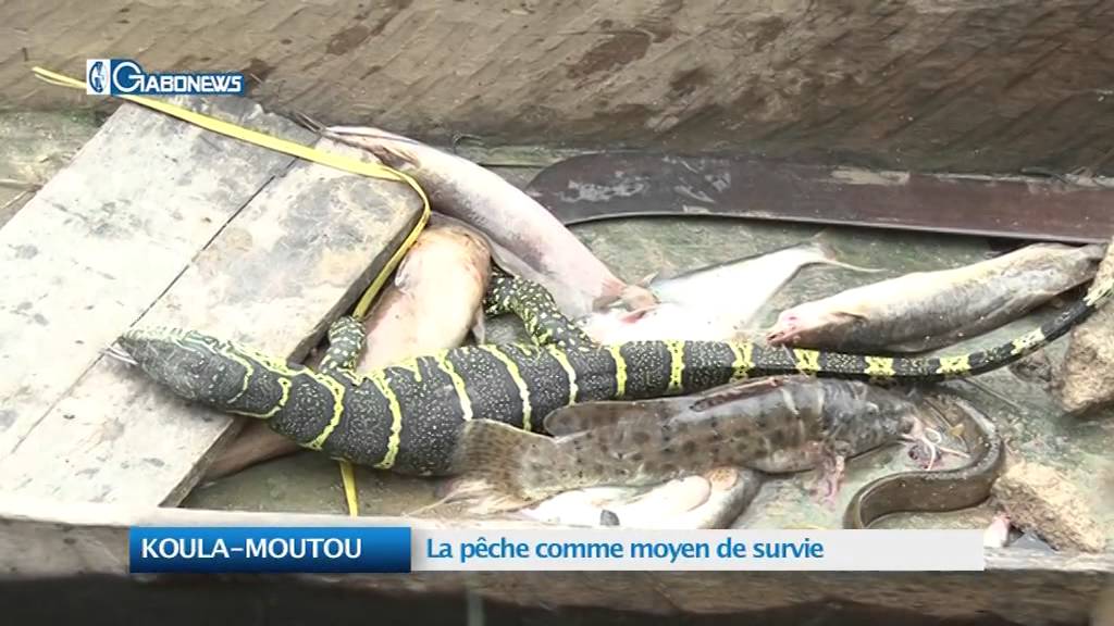 KOULA MOUTOU:  La pêche comme moyen de survie