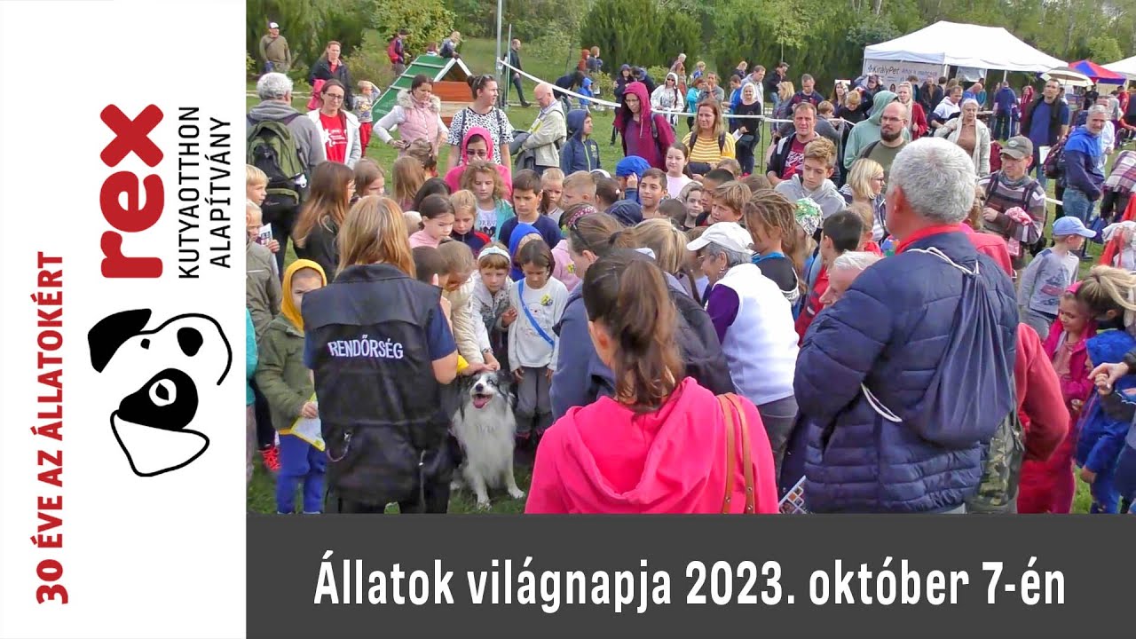 Állatok világnapja 2023 Rádió spot