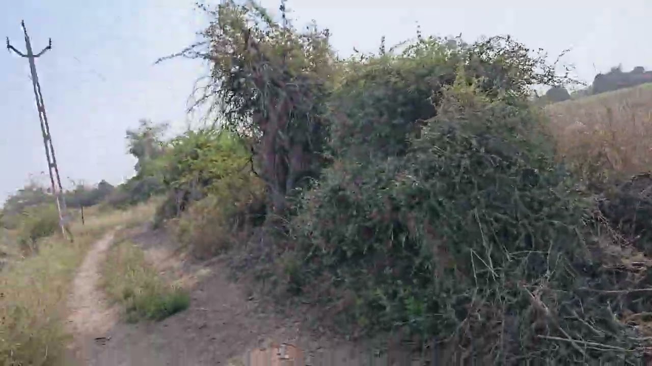 ખેતરામ❣️🌄