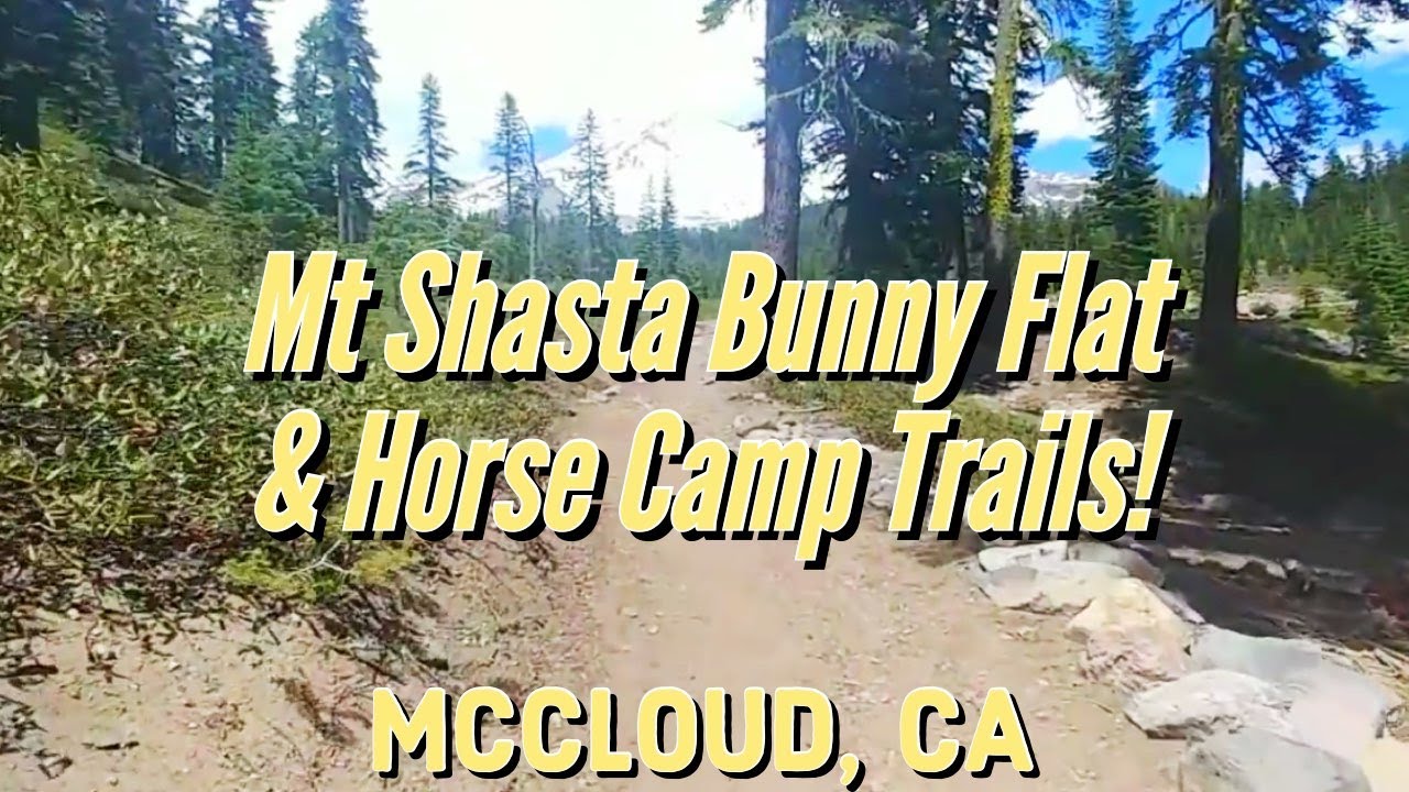 Bunny Flat Trail, Horse Camp Trail, Hiking Trails & Trailheads Mount Shasta. McCloud, California