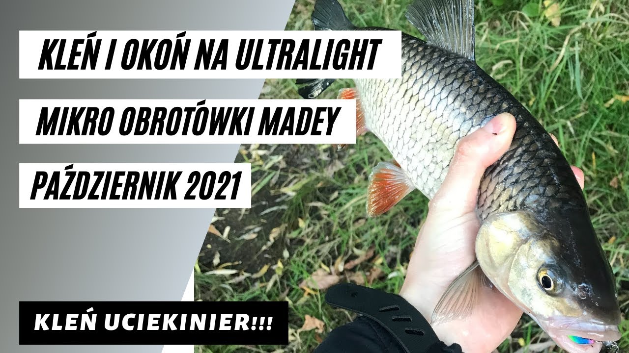 KLEŃ I OKOŃ NA ULTRALIGHT | MIKRO OBROTÓWKI | SPINNING PAŹDZIERNIK 2021