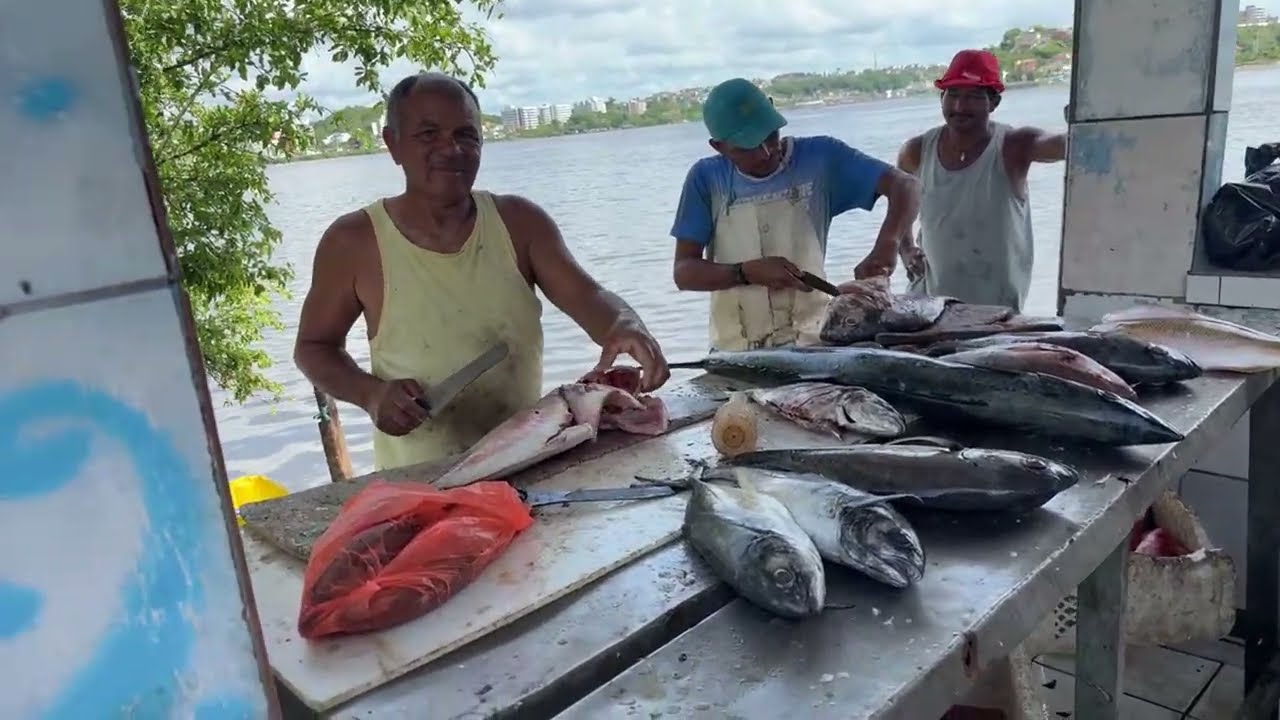 Рыбаки острова Ильеус, штат Баия, Бразилия #рыбак #лодки #рыба