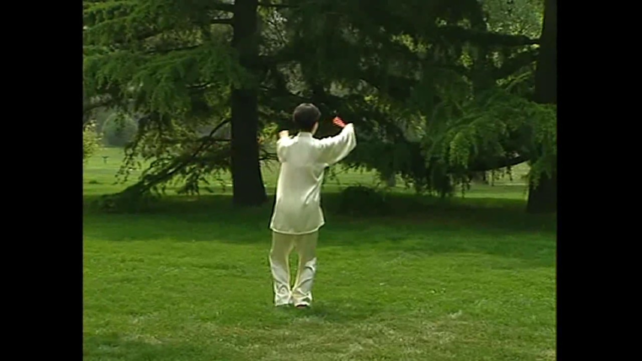 Tai Chi Leque 18 formas (de costas)