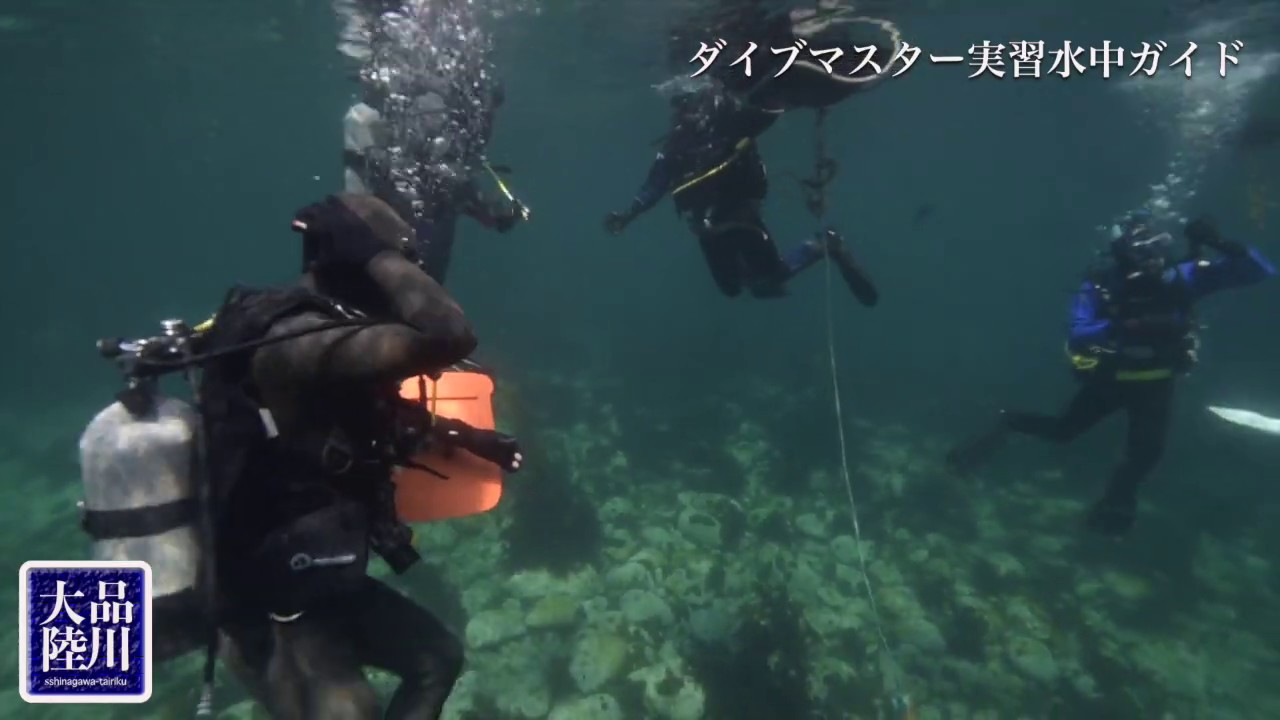 【ダイブマスターコース】水中ガイドトレーニング動画