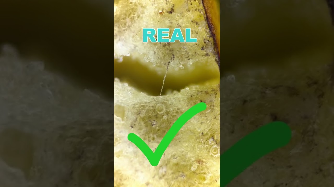 Worms in BANANAS debunked under the microscope!