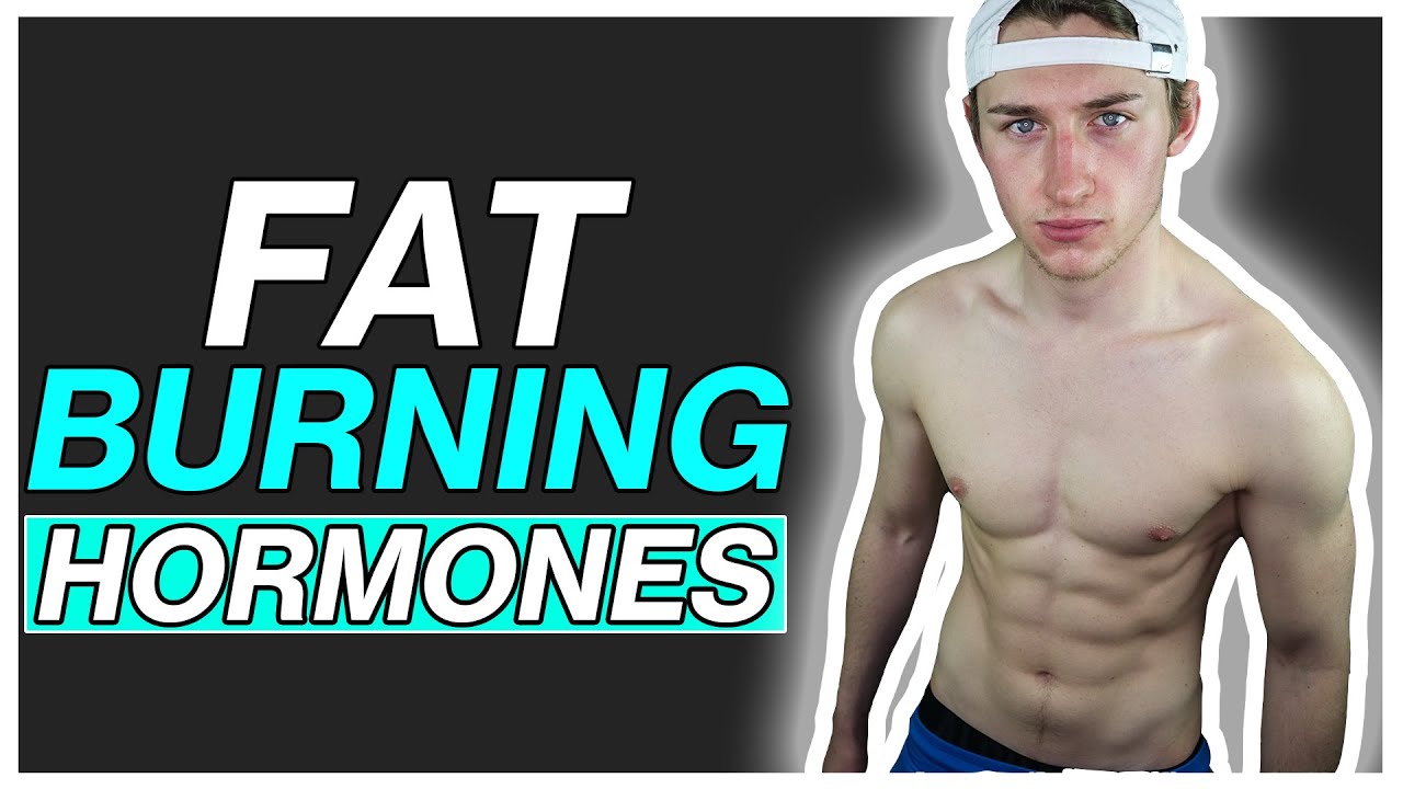 3 FAT Burning Hormones! - Explained