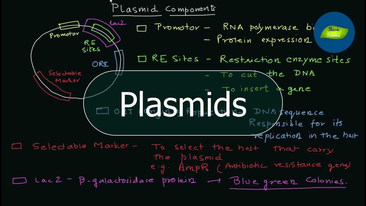 Plasmid | Components of a Plasmid | PET vectors | Genetic Engineering | Basic Science Series
