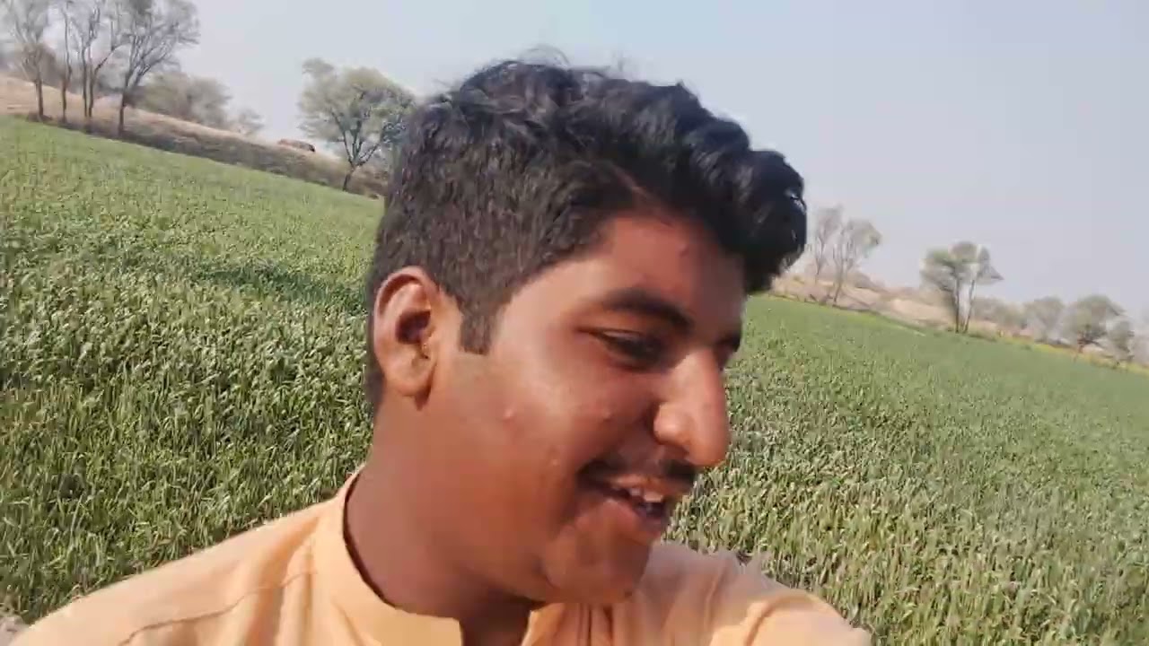 Saraiki p gochar mein