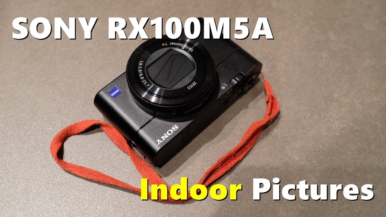 소니 RX100M5A 실내 촬영 사진들 구경하기