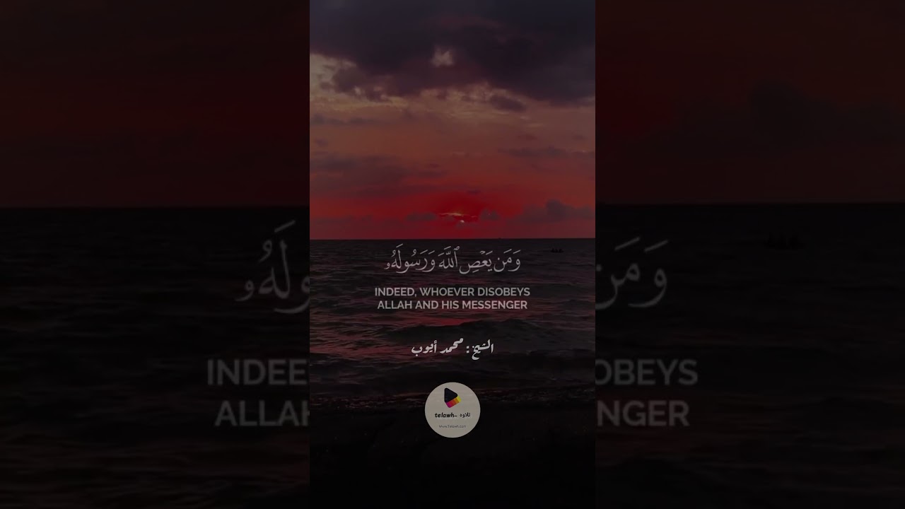 #الشيخ_محمد_أيوب|تلاوه ـ Telawh