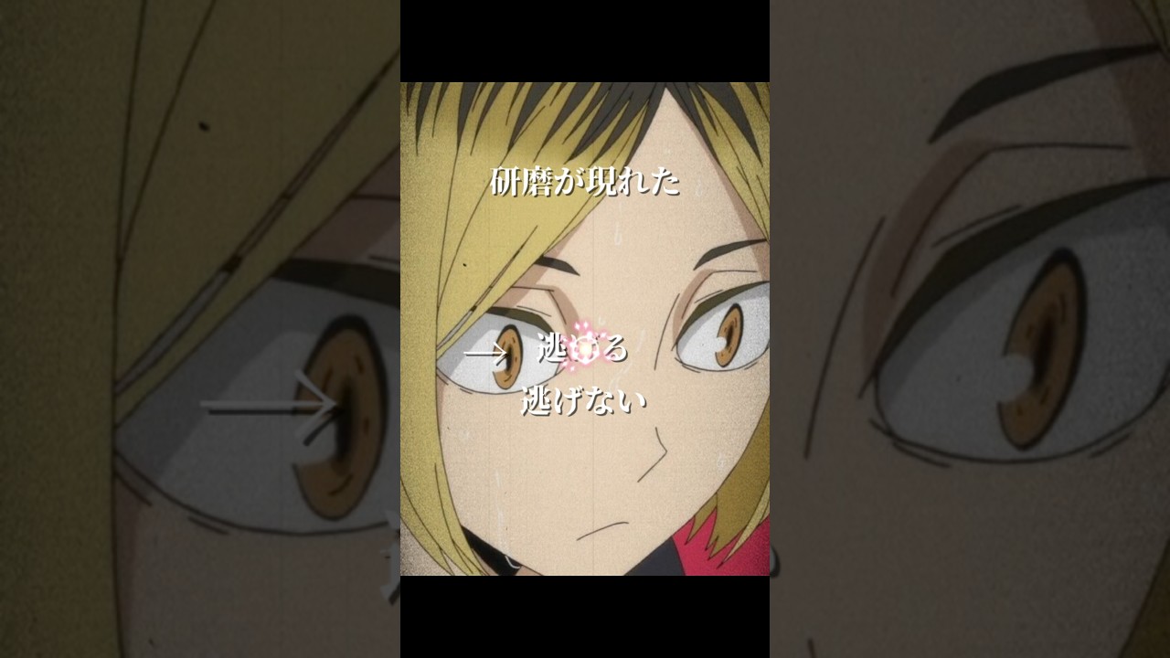 研磨から逃げたら？#テンプレートお借りしました #推し #ハイキュー #haikyuu #anime #中学2年生 #オタク