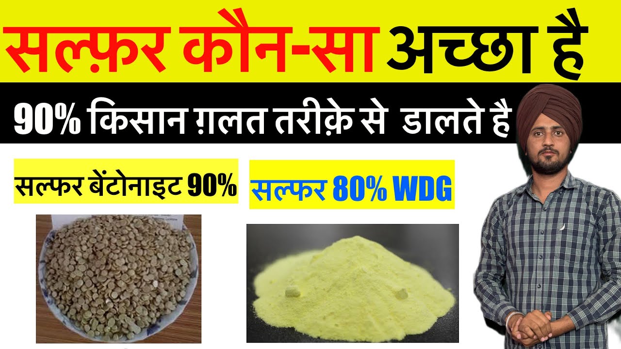 Sulphur(80%) WDG and Sulphur Bentonite(90%) || 