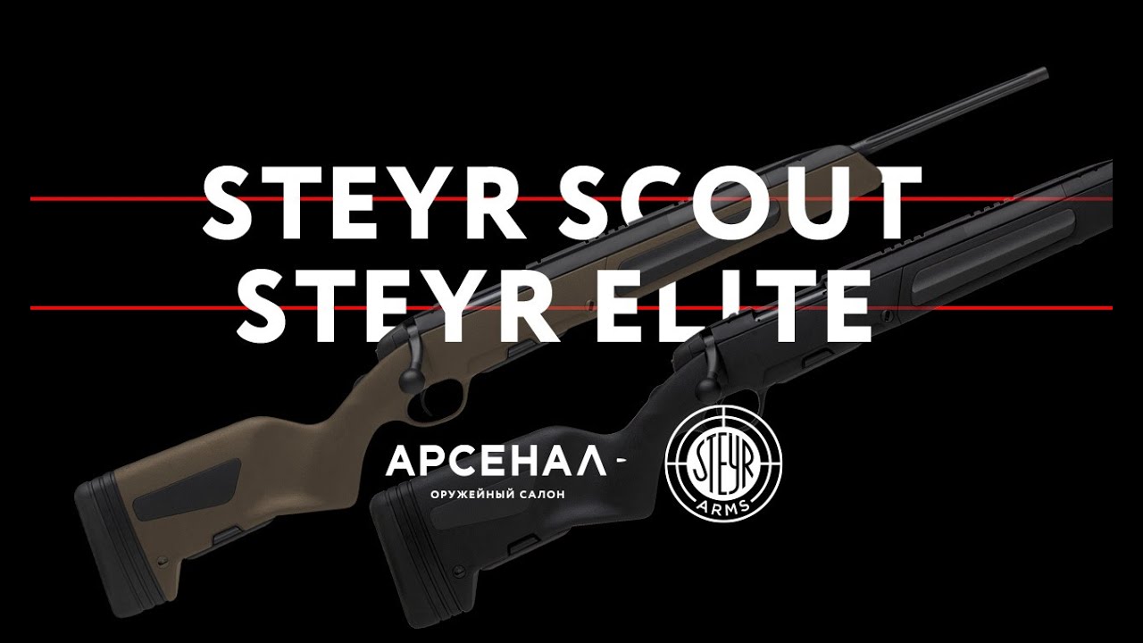 Steyr Scout и Steyr Elite: близнецы-братья?