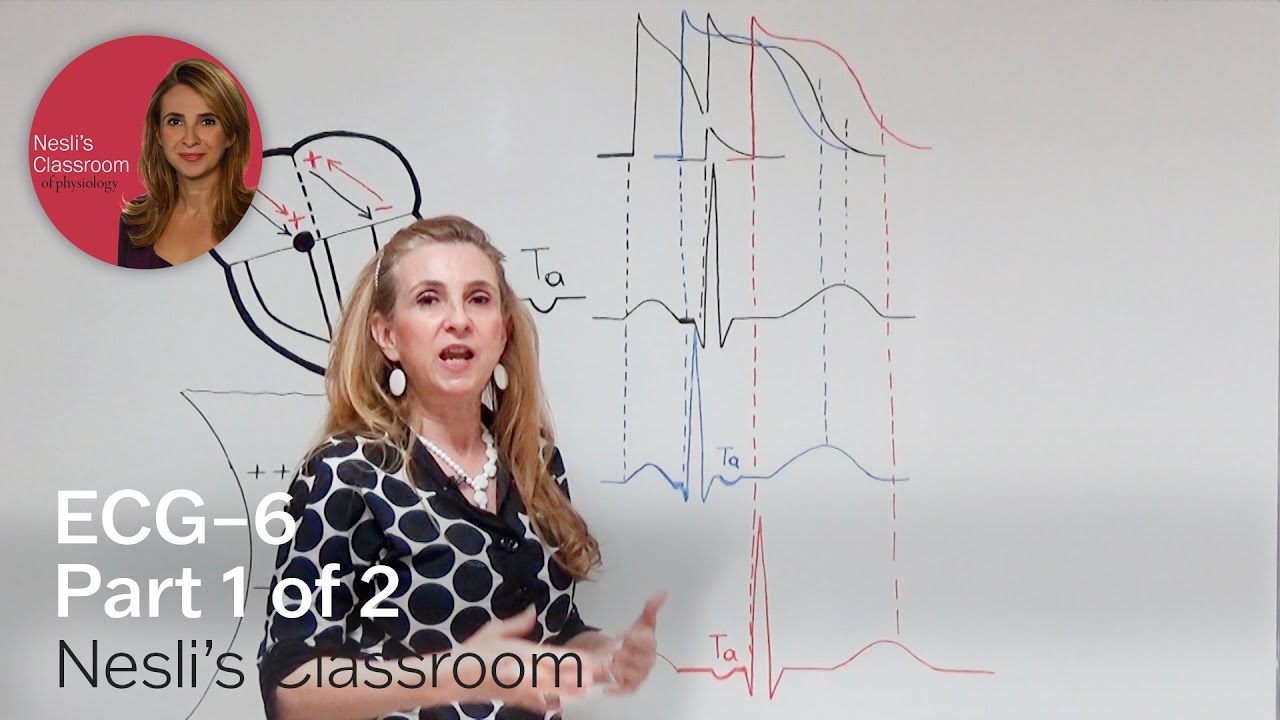 ECG-6 Part 1 of 2 atrial Ta wave