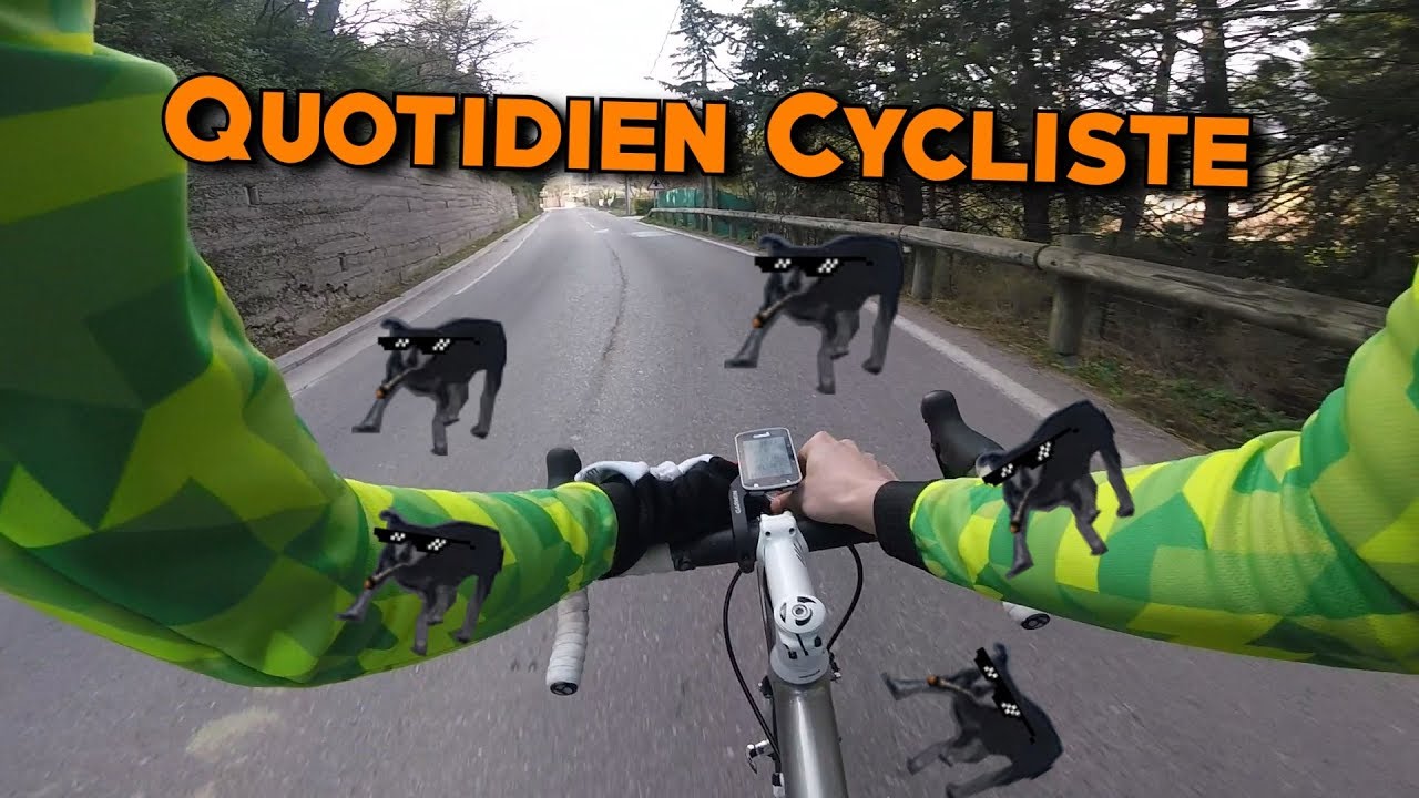 QUOTIDIEN CYCLISTE #1 : DU TROLL, UN CHIEN FOU + TUTO RAVITO