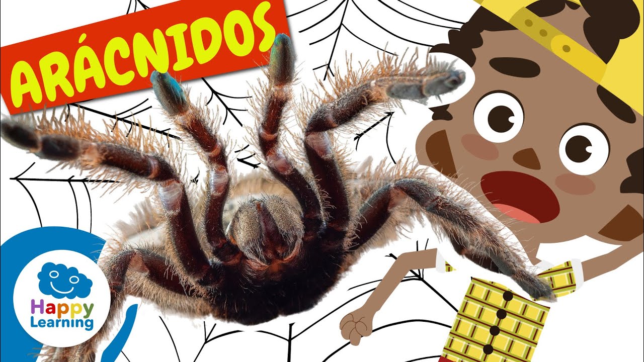 🕷️ LOS ARÁCNIDOS: Arañas, Escorpiones ¡y más! | Vídeos Educativos para Niños | @Happy Learning Español