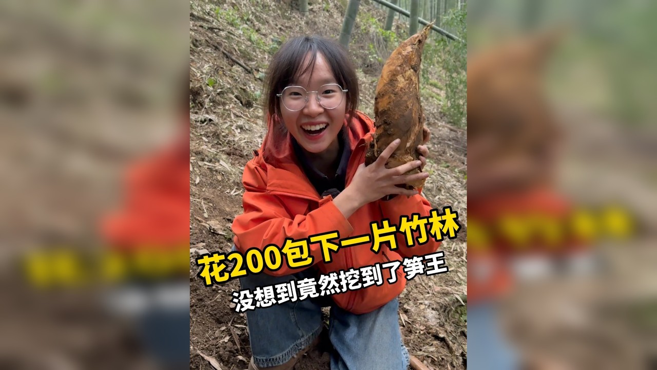 花200包下一大片竹林挖冬笋，没想到在里面挖到了笋王