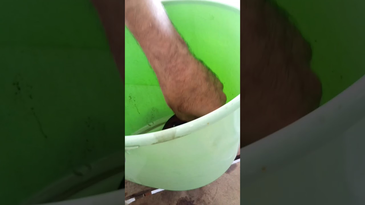 Lpg beyin sökülmesi temizliği bakımı tamiri tüm detayları sizde göreceksiniz çok basit